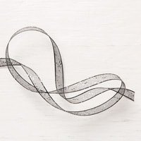 Black 5/8" (1.6 Cm) Glittered Organdy Ribbon