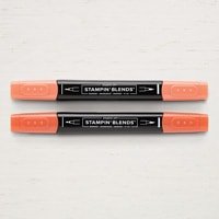 Cajun Craze Combo Pack Stampin' Blends