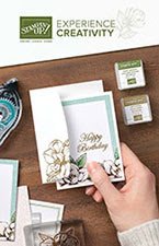 https://su-media.s3.amazonaws.com/media/catalogs/2019-2020%20Annual%20Catalog/Beginner%20Customer%20Brochure/201906_NEW_CUSTOMER_UK.pdf